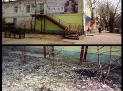 Жители Таганрога поймали злостных нарушительниц экологического баланса 