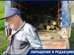  «Не губите мужики, не рубите», - таганрожцев взволновала вырубка деревьев