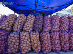В области значительно выросли оптовые цены на картофель