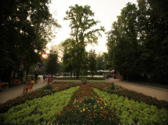 В Таганроге идет своим чередом  озеленение улиц и парков