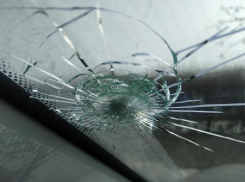 В Таганроге появился «Ворошиловский стрелок»