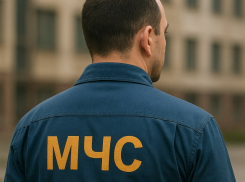 Под Таганрогом спасатели вытащили из восьмиметрового колодца трехлетнюю девочку и ее отца