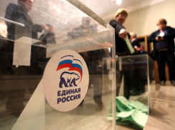 Праймериз: за сутки на кандидатов по Ростовской области пожаловались неоднократно 
