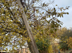 Над таганрогской семьей нависла угроза: администрация молчит