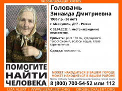Благодаря таганрогским и чувашским волонтерам нашлась 86-летняя бабушка-беженка из Мариуполя