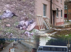 Недельный дайджест города: от побед до пробок обсуждали таганрожцы
