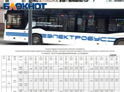 «Оно липовое!» - таганрожцы отзываются о новом расписании электробусов