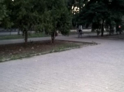 Таганрогский малый бизнес научился мести дороги