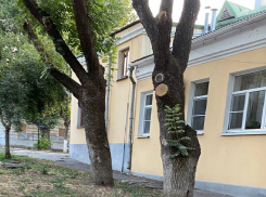 Таганроженка показала свой «туристический маршрут»: мимо Дворца Александра, через помойки и заброшки