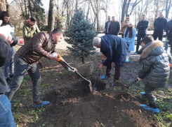 Связь поколений: «СТК-Таганрог» подарили парку культуры им. Горького новые деревья