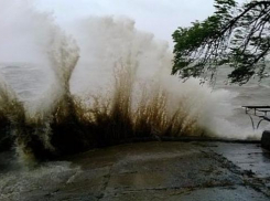 Вода в Таганрогском заливе приближается к критической отметке