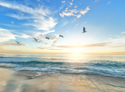 Пыльные бури и умеренная прохлада - майский прогноз погоды на Дону