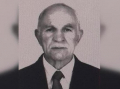 Пенсионера Василия Жданова, пропавшего десять дней назад, нашли живым