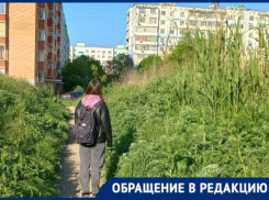 Уже 6 лет таганрожцы не могут дождаться обещанного тротуара около садика