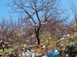 Таганрожцам придется учится жить без пластиковых пакетов