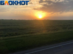 Власти Ростовской области временно изъяли земли на границе с ДНР 