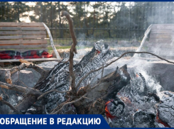 Таганрожцы разыскивают вредителей, жгущих отходы по ночам