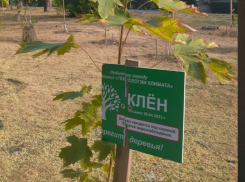 Работаем в ручном режиме: сквер в Таганроге поливают только после публикаций в Блокнот