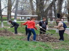 Будущие педагоги вышли на субботники