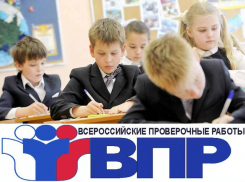 Таганрогские школьники будут писать ВПР в 2022-2023 учебном году