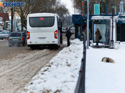 «Дорога чистая, а маршруток нет»: жители Таганрога возмущены срывом движения в Порт