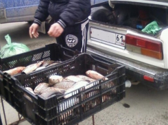 На рынках Таганрога торгуют опасной рыбой
