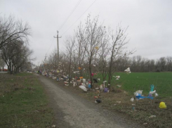 На борьбу со свалками Таганрога и еще пяти других городов выделят шесть млрд рублей
