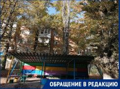 В Таганроге старые тополя угрожают жизни детей