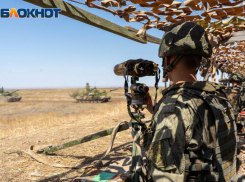 Какие меры поддержки пообещал губернатор Ростовской области семьям мобилизованных