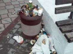 В Таганроге предпринимателям, сэкономившим на вывозе мусора, дали 3 дня на исправление