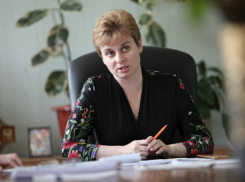 Замглавы администрации Ирина Голубева станет объектом жалобы губернатору