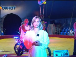 О чем говорят за кулисами цирка – узнала корреспондент «Блокнота»