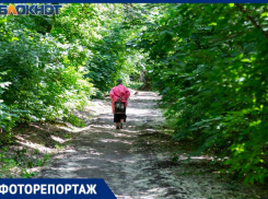 Показываем, какой сквер обещают реконструировать для жителей Северного района Таганрога 