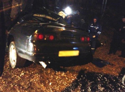 В ДТП под Таганрогом пострадали трое молодых людей