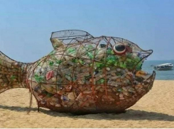 Необычная рыба появится скоро в Таганроге