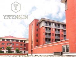 Новогоднее предложение от компании YFFENSON*: окрашивание краской собственного производства 