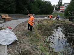 Таганрогская роща «Дубки» продолжает преображаться