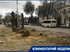 Клены у библиотеки появятся весной – запомним обещание администрации Таганрога