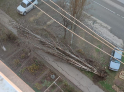 Таганрожцы, по возможности, оставайтесь дома