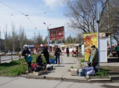 Городские власти Таганрога решили всерьез взяться за нелегальные торговые точки