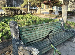 «Десять лет скамейки сломаны»: вместе с ДК в Таганроге рухнет и территория рядом?