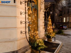 День Трифона: как таганрожцам провести 28 декабря с пользой по старинным заветам