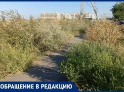 Сквозь терни к знаниям: дорога к школе на Галицкого напоминает полосу препятствий 