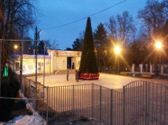 В Таганрогском парке установили елку
