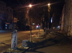 Сбитое «насмерть» лихим водителем ВАЗа дерево едва не придавило прохожего с ребенком в Таганроге