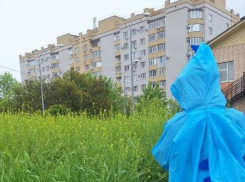 «С мачете ходить скоро будем»: экстремальный путь к детскому саду снова показали таганрожцы