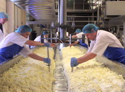 В Таганроге может продаваться опасный творог: Россельхознадзор уже изъял в области 5,5 тонн фальсификата