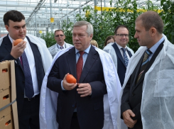 С Тепличного комбината под Таганрогом банк намерен взыскать 2.7 млн.рублей