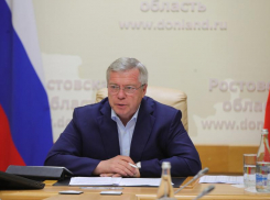 Губернатор Голубев создал рабочую группу, чтобы жить в Ростовской области стало лучше
