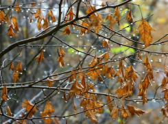 В Таганроге на смену теплой погоде пришло похолодание